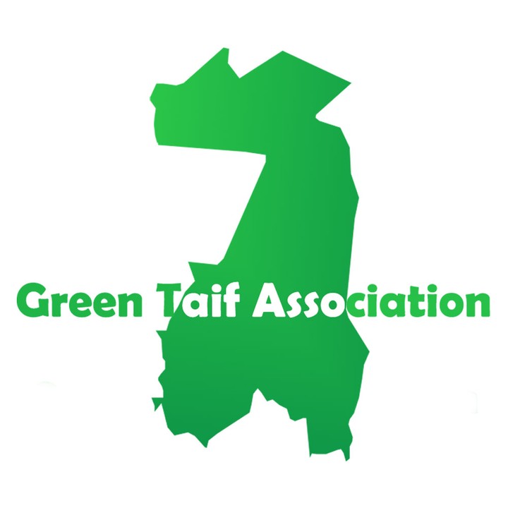 green taif logo