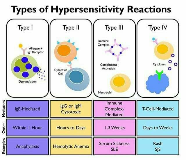 type 1 & type 2 Hypersensitivty reactions