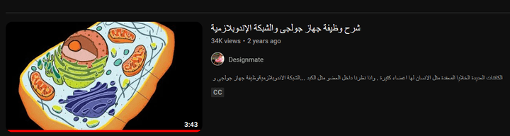 ترجموة واضافة subtitles باللغة الانجليزية