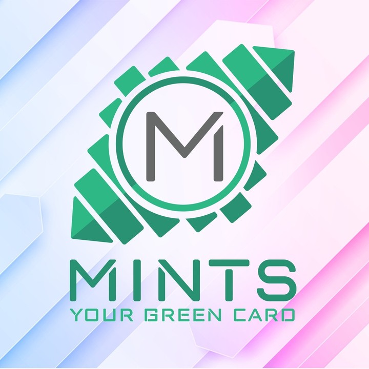 إدارة استراتيجيات سوشال ميديا وحملات مدفوعة لأكثر من 20 عميل عبر Mints Creative Agency