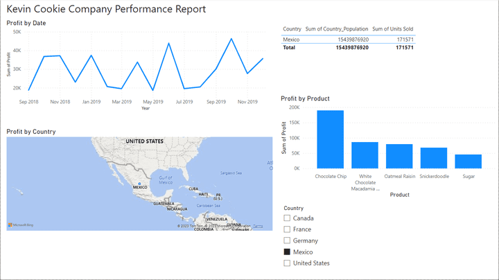 Performance Report