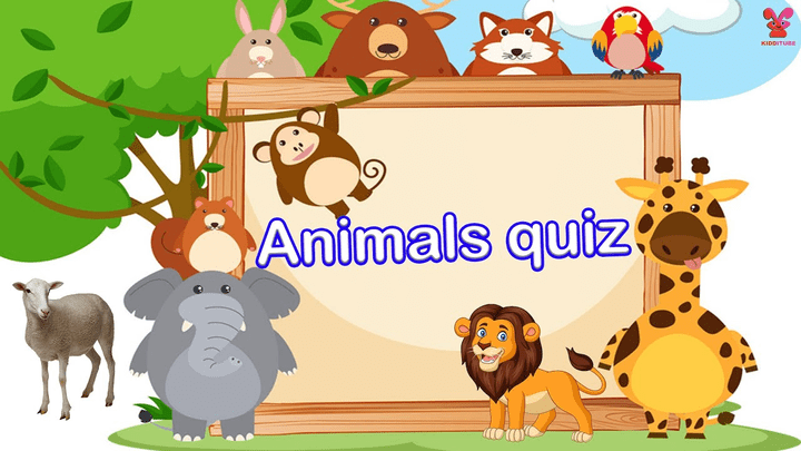 Animal Quiz