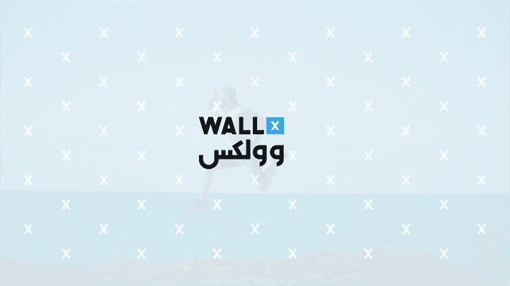 wallx - Brand Identity Design