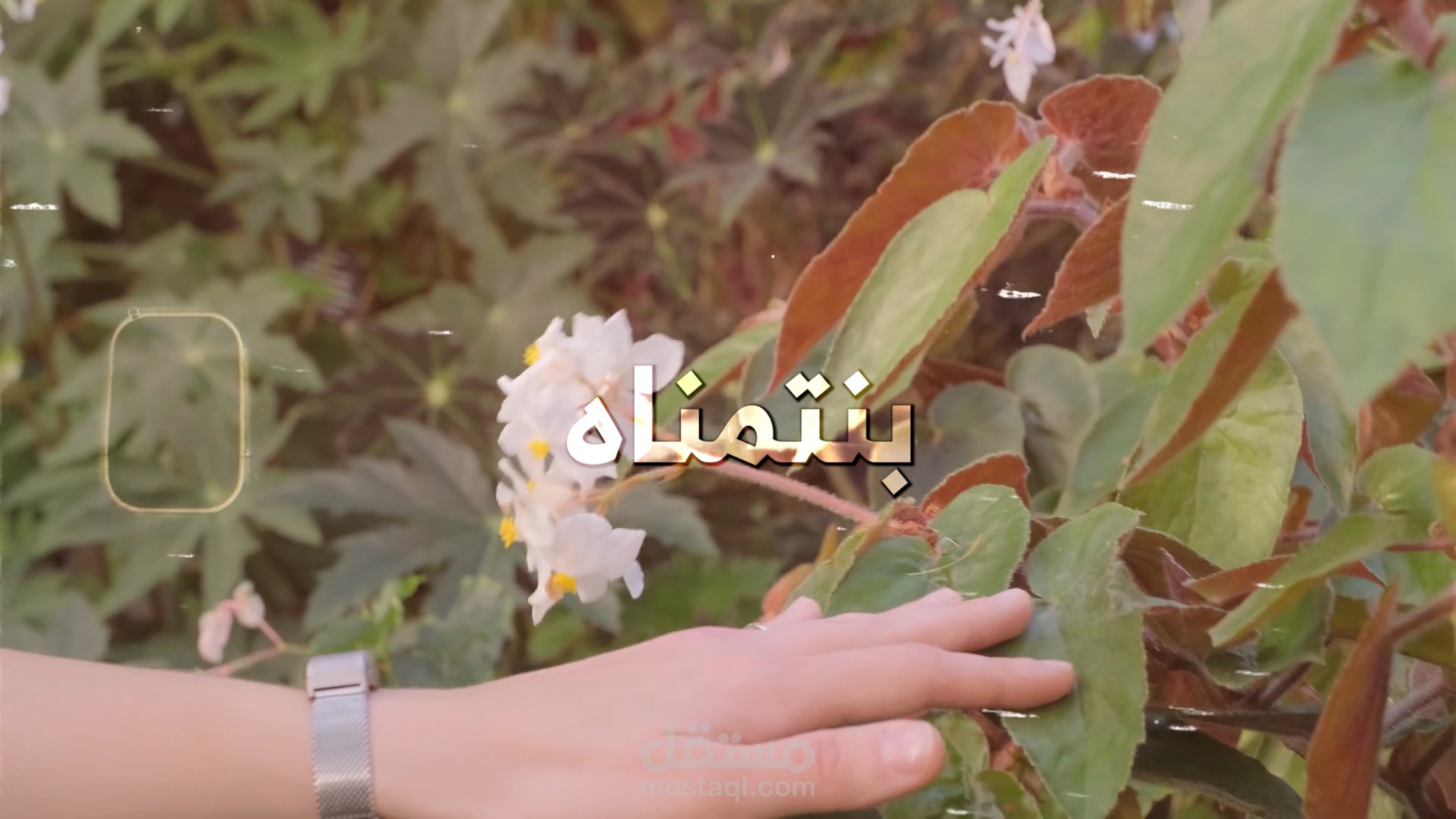 مقدمة لفيديو تحسين ذات