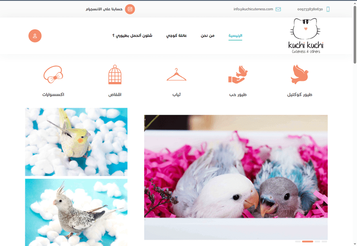 Bird selling website design