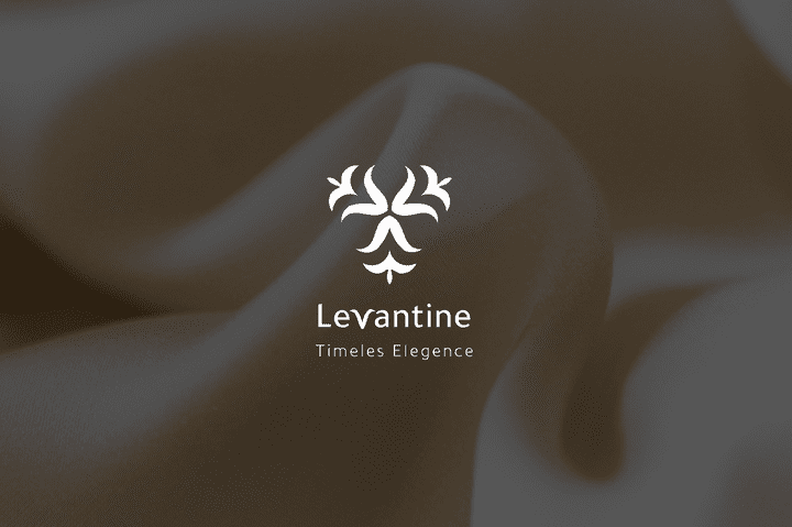 دليل هوية بصرية Brand Guidelines | شركة Levantine