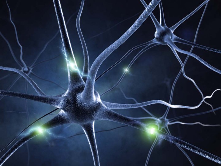 ترجمة مقال عن كيفية تأثير الآخرين على جهازك العصبي nervous system