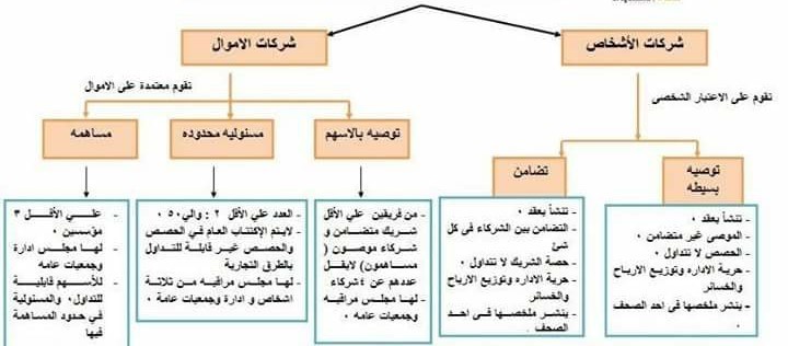 تأسيس الشركات داخل جمهورية مصر العربية