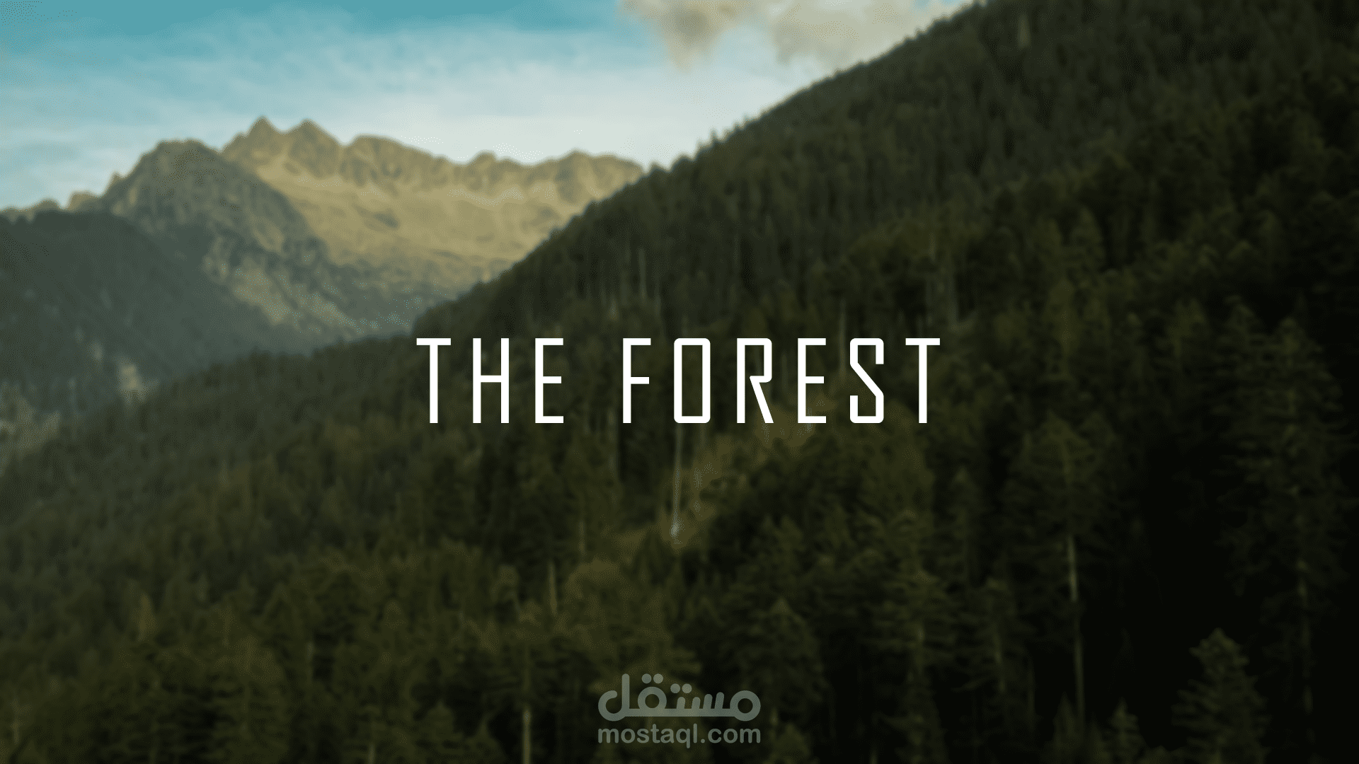 The Forest | Cinematic Short Film