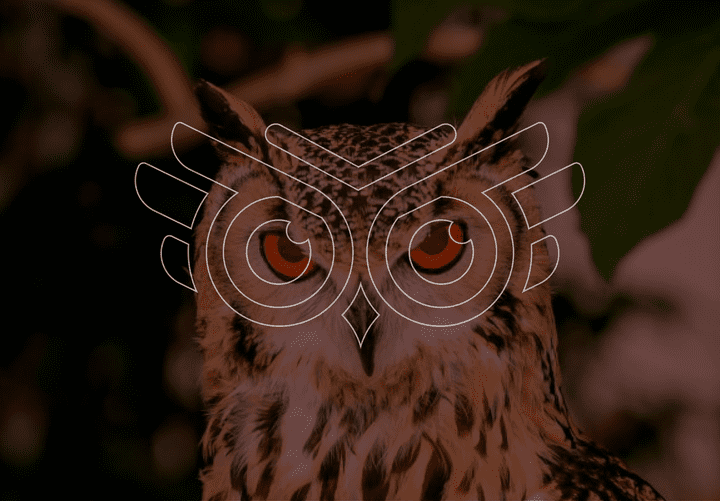 شعار وهوية OSS - OWL SECURITY SYSTEM