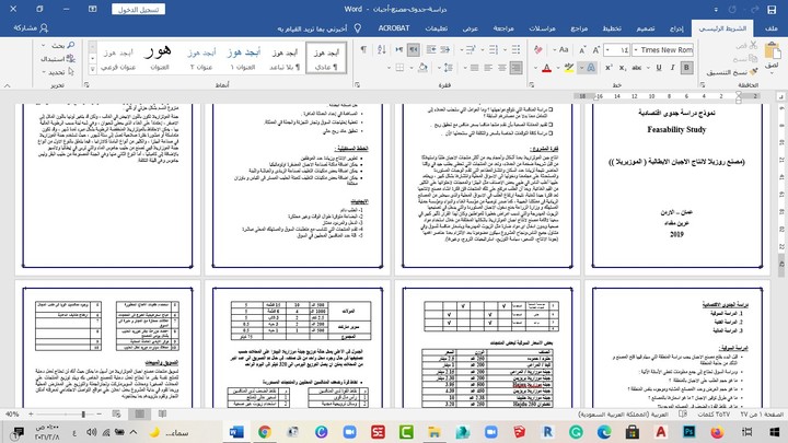 دراسة جدوى باللغتين العربية والانجليزية