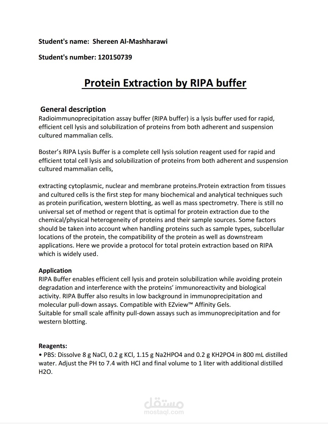 Protein extraction by RIPA buffer | مستقل