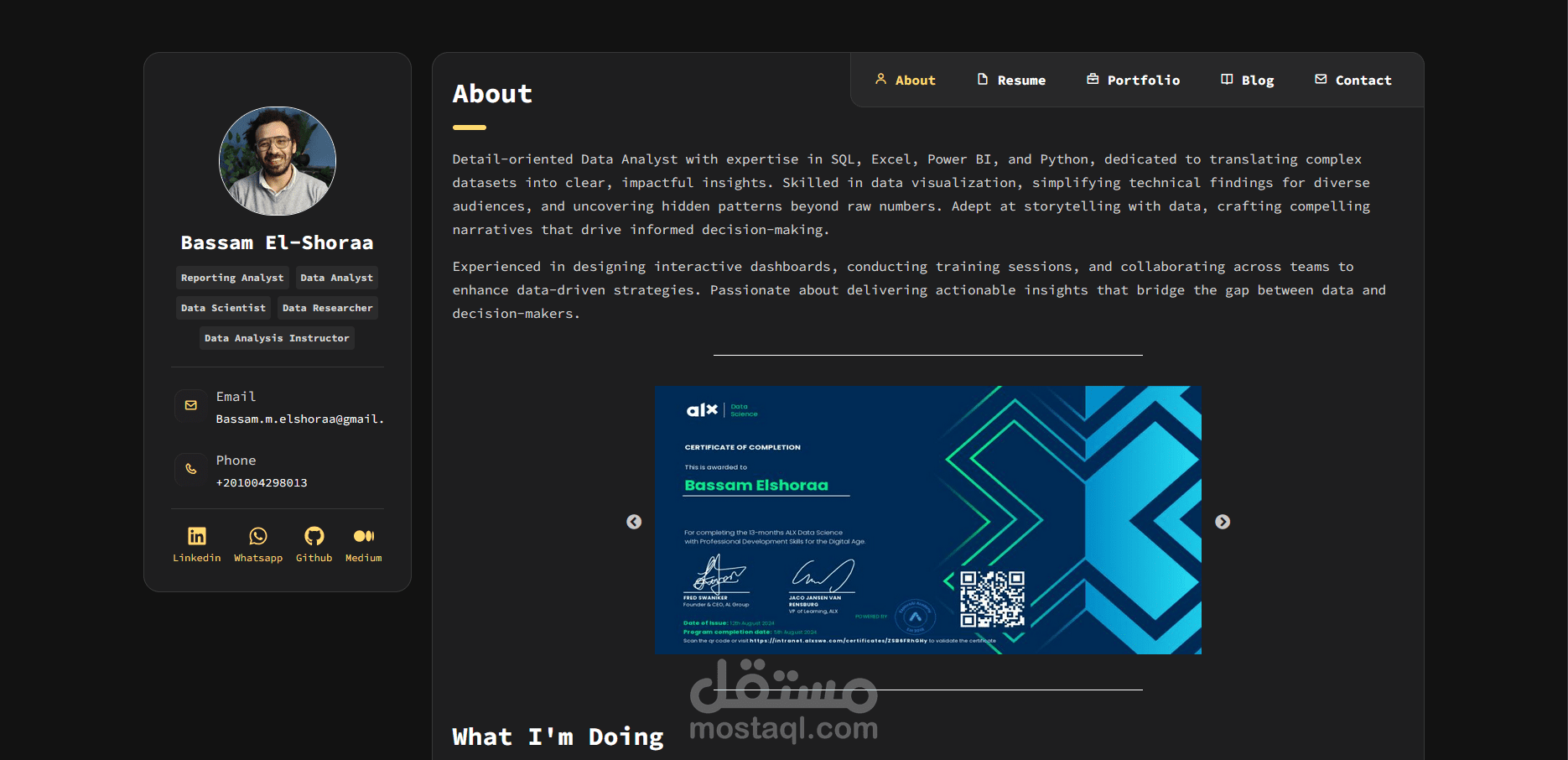 Portfolio - Data Analysis