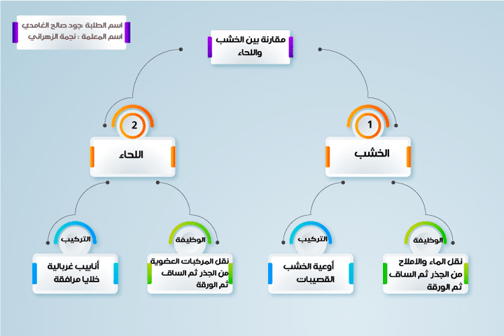 خريطةمفاهيم